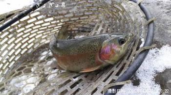 ȥ饦