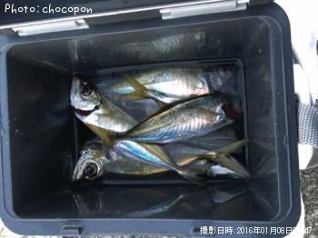 アジ