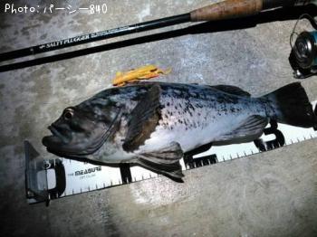 クロソイ