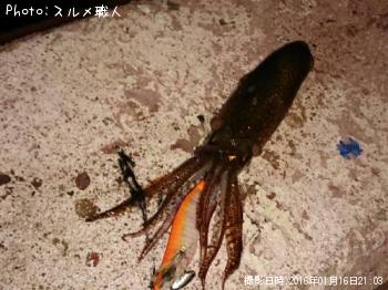 ベイカ