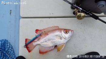 チカメキントキ