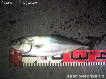 イナダ
