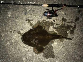 カジカ