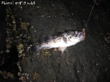 クロソイ