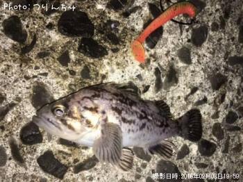クロソイ