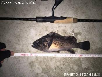 クロソイ