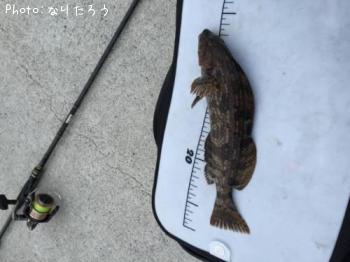 ʥ