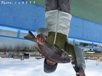 コロダイ