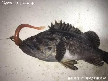 クロソイ