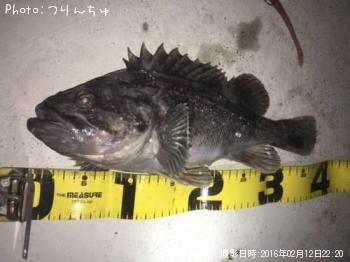 クロソイ