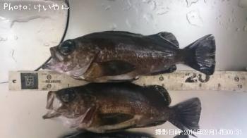 メバル