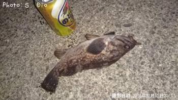 クロソイ