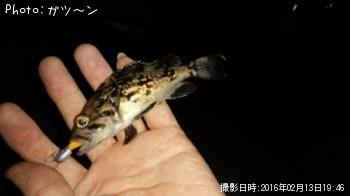 クロソイ