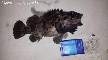 ʡ