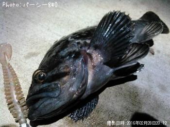 クロソイ