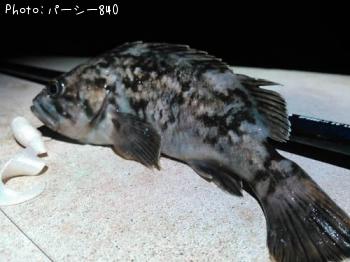 クロソイ