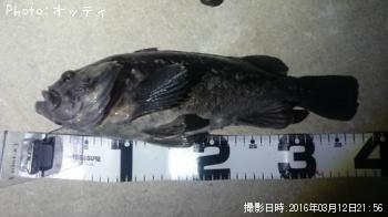 クロソイ