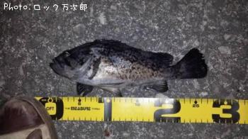 クロソイ