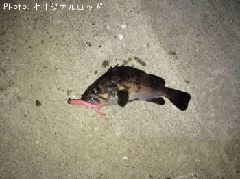 ソイ