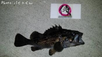クロソイ