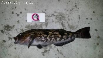 ʥ