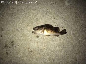 クロソイ