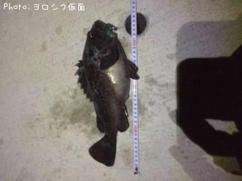 クロソイ