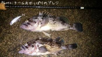 クロソイ