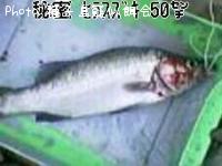 ҥ饹