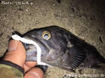 クロソイ