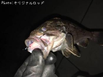 クロソイ