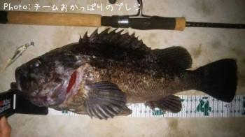 クロソイ