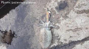 䥱