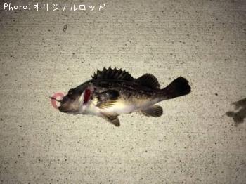 クロソイ