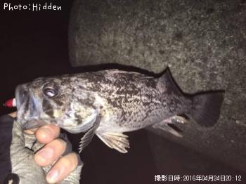 クロソイ