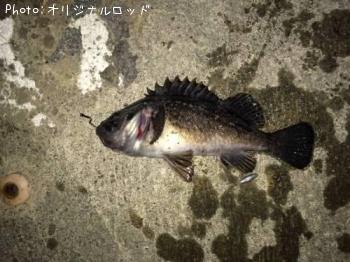クロソイ
