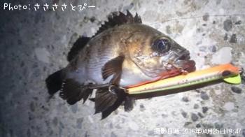 Х