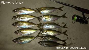 アジ