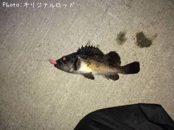 クロソイ