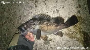 クロソイ