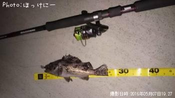 クロソイ