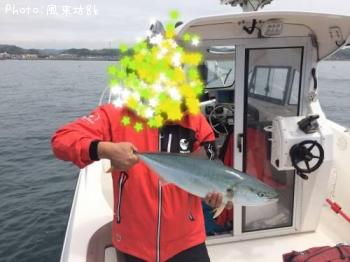 饵