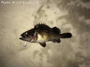 クロソイ