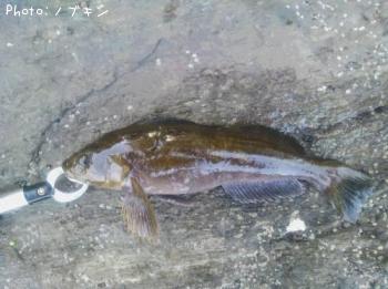 ʥ