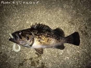 クロソイ