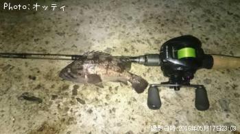 クロソイ