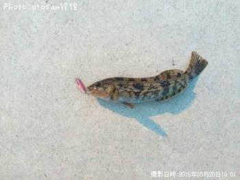 ʥ