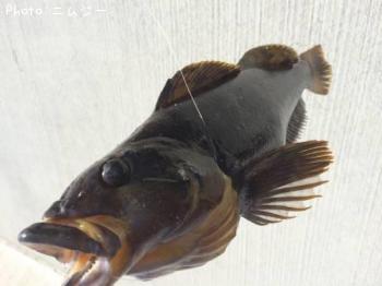 ʥ