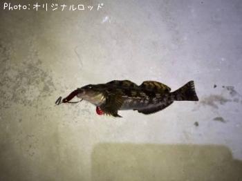 ʥ