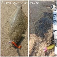 ヒラメ